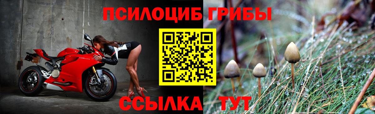 Ачинск  Галлюциногенные грибы Cubensis  Вход с VPN  Галлюциногенные грибы прущие грибы 
